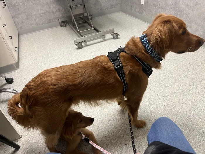 Pet Health Center Picture 6