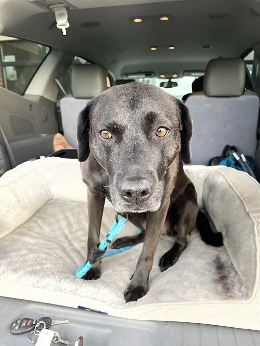 Pet Health Center Picture 7