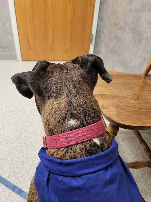 Pet Health Center Picture 8