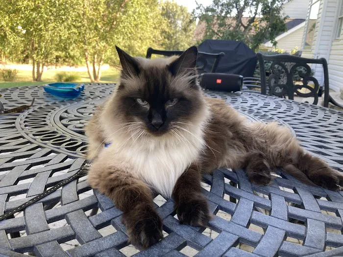 Pet Health Center Picture 10