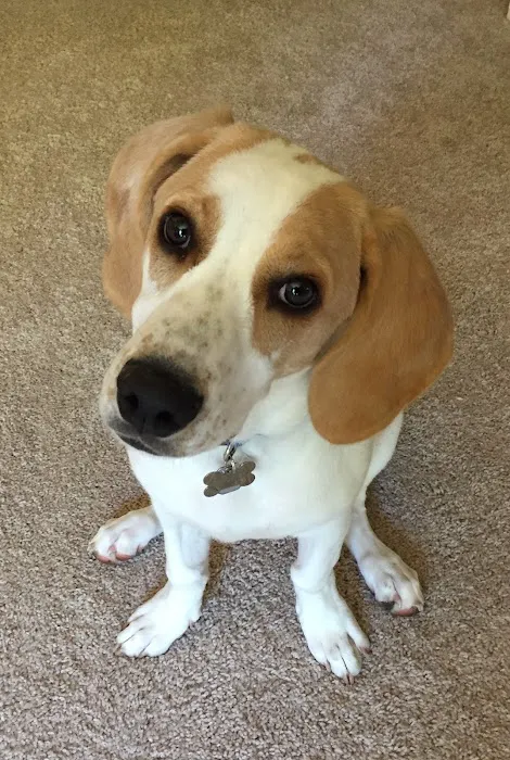 Harvest Plaza Animal Hospital Picture 1