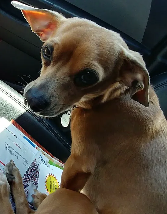 Harvest Plaza Animal Hospital Picture 2