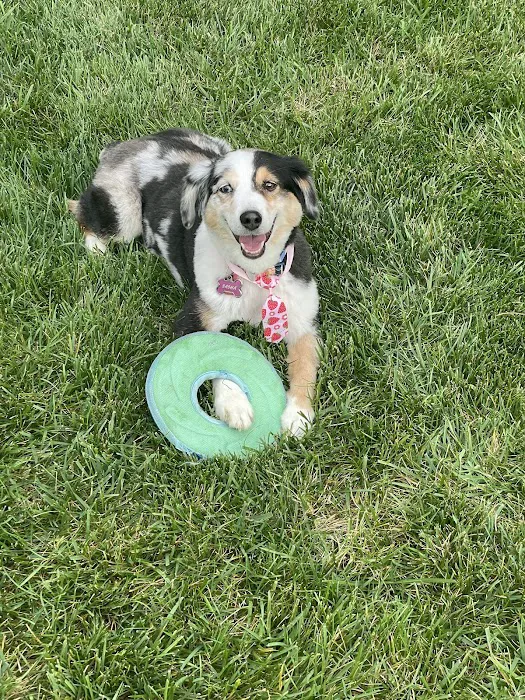 Harvest Plaza Animal Hospital Picture 9