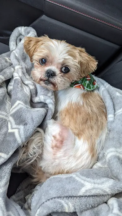 Pet Pals Animal Hospital Picture 4