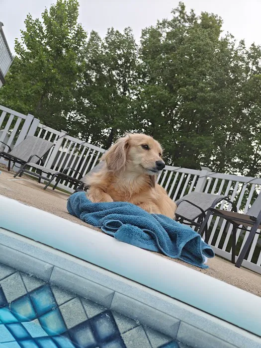 Pet Pals Animal Hospital Picture 2