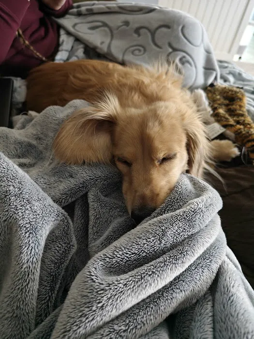 Pet Pals Animal Hospital Picture 5