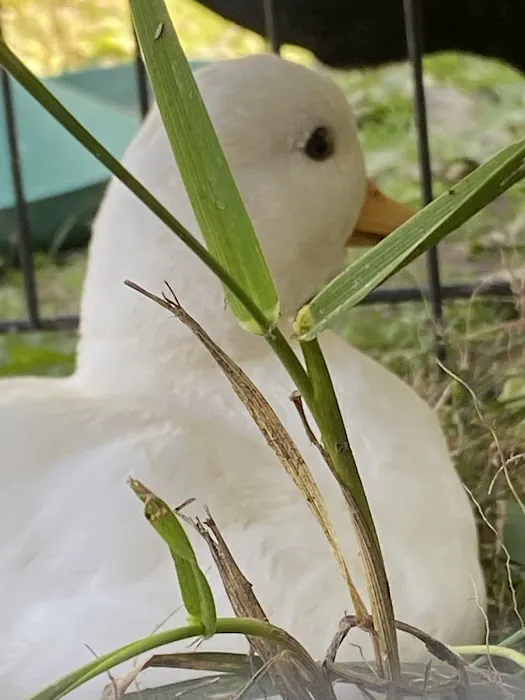 Pike County Veterinary Clinic Picture 1