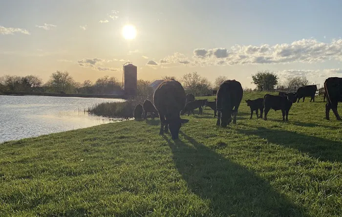 Pike County Veterinary Clinic Picture 2