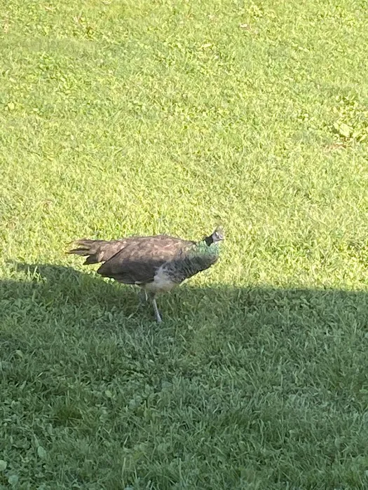 Pike County Veterinary Clinic Picture 3