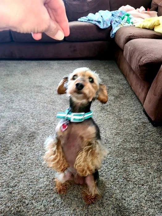 Pike County Veterinary Clinic Picture 5