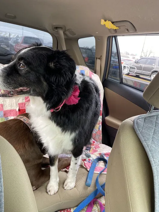 Pike County Veterinary Clinic Picture 4