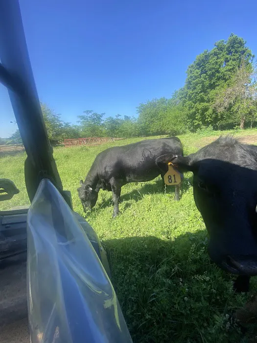 Pike County Veterinary Clinic Picture 7