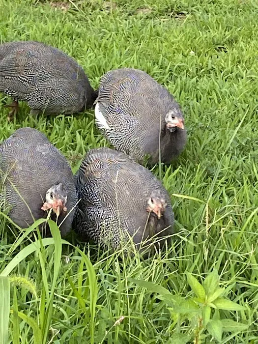 Pike County Veterinary Clinic Picture 8