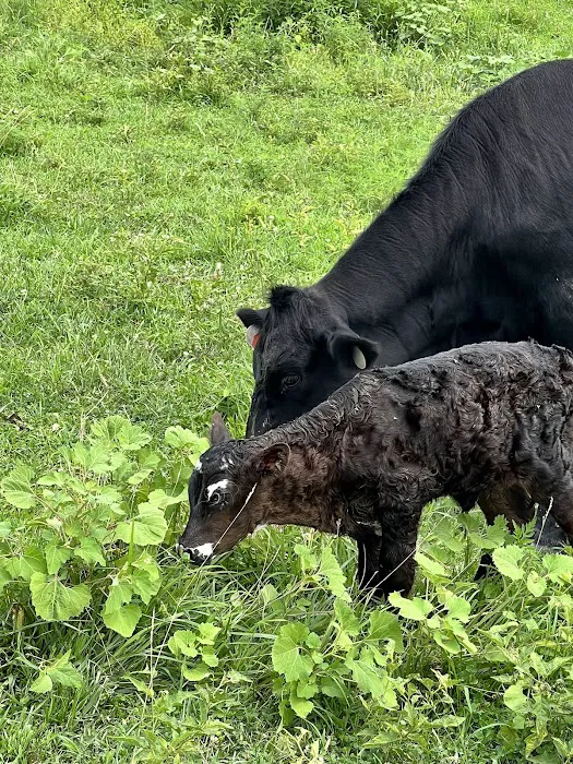Pike County Veterinary Clinic Picture 6