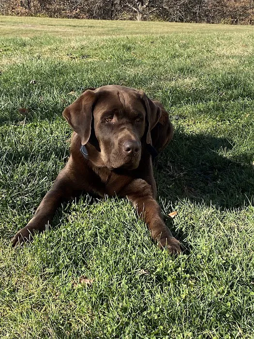 Pike County Veterinary Clinic Picture 9