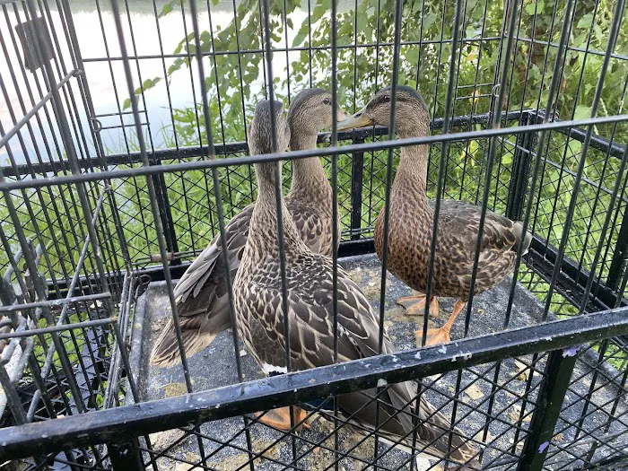 Pike County Veterinary Clinic Picture 10