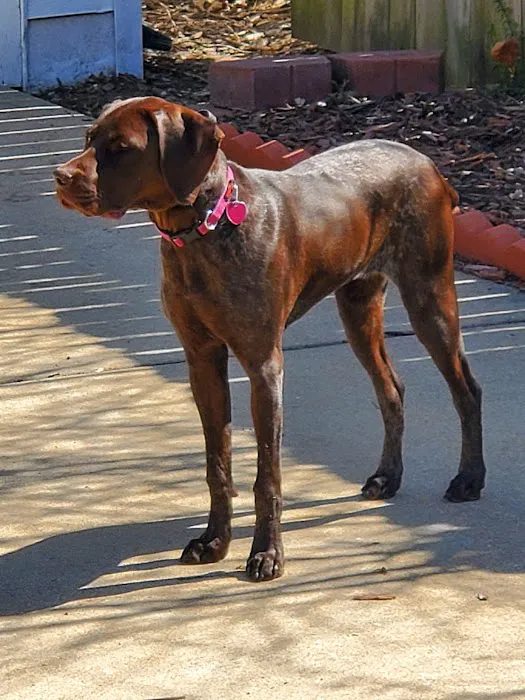 General Vet Clinic Picture 2