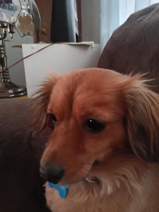 General Vet Clinic Picture 1