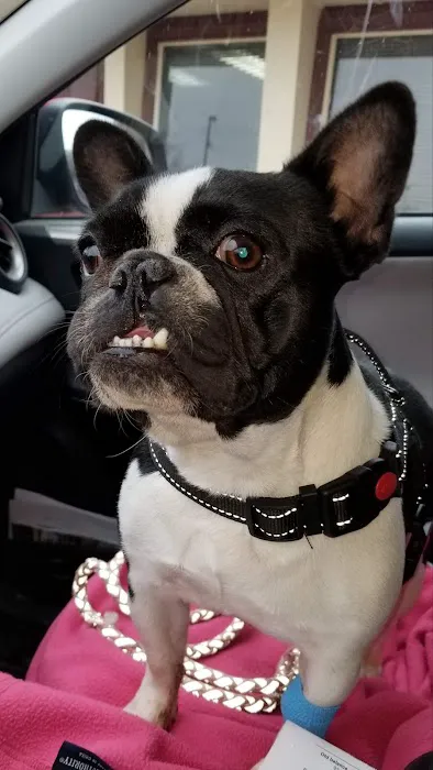 General Vet Clinic Picture 3