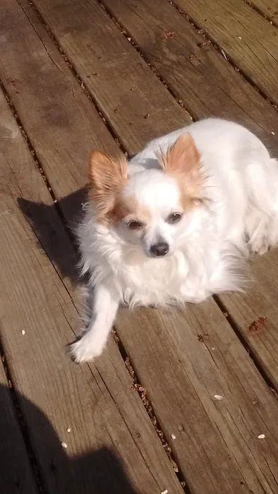 General Vet Clinic Picture 7