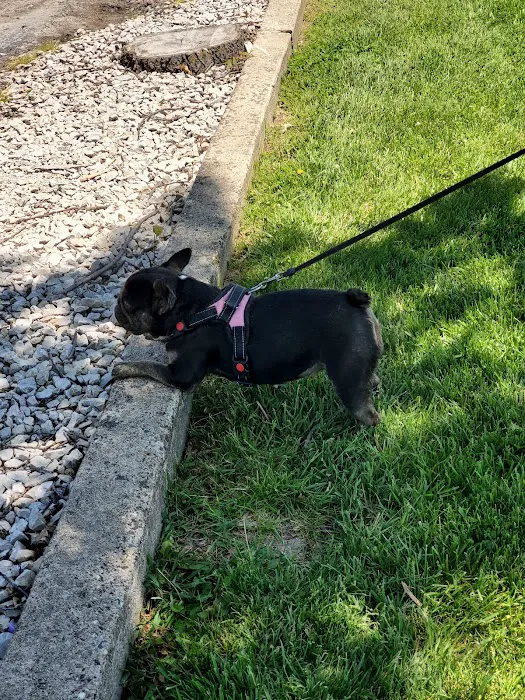 General Vet Clinic Picture 4