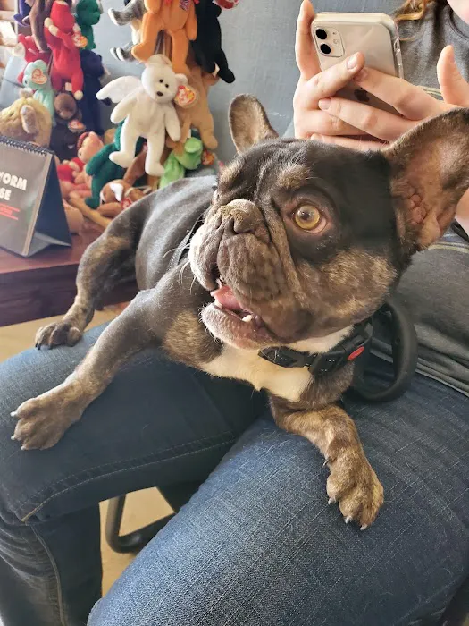 General Vet Clinic Picture 5