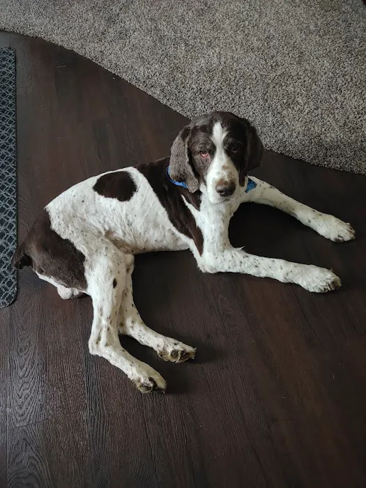 General Vet Clinic Picture 6