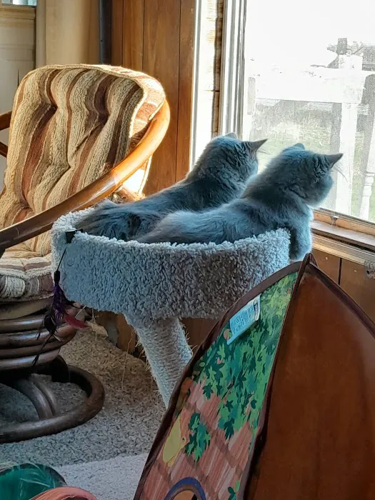 General Vet Clinic Picture 8