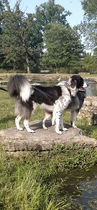 General Vet Clinic Picture 9