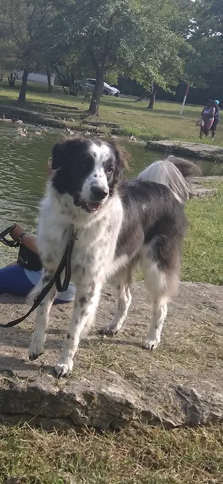 General Vet Clinic Picture 10