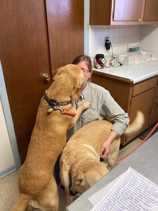 Otto Monica DVM Picture 1