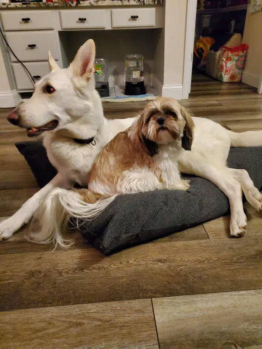 Otto Monica DVM Picture 2