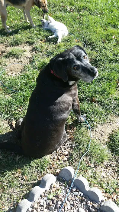 Otto Monica DVM Picture 4