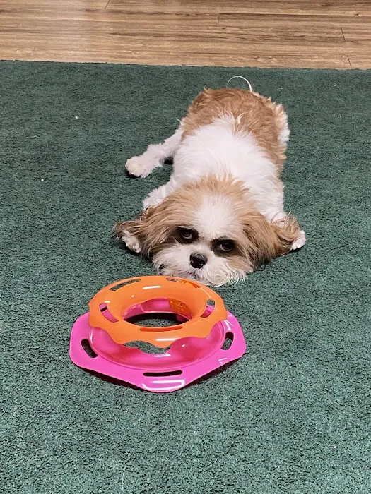 Kirbyville Veterinary Clinic Picture 3