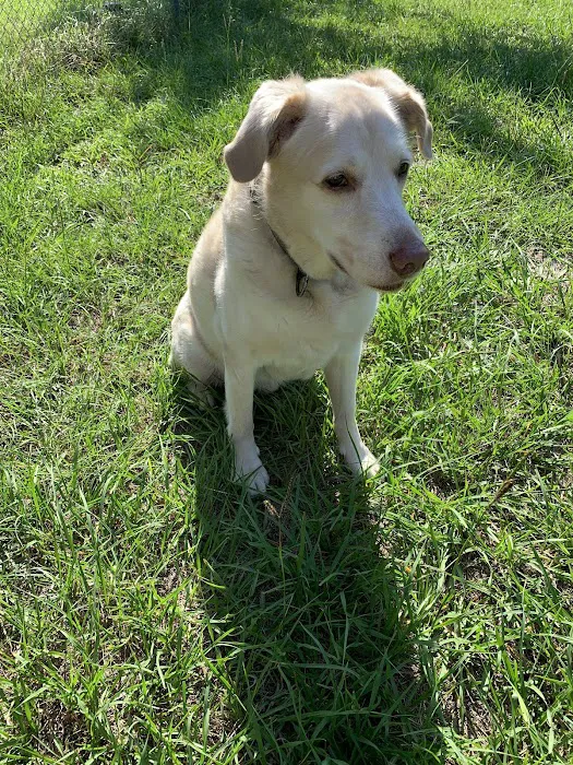 Kirbyville Veterinary Clinic Picture 1