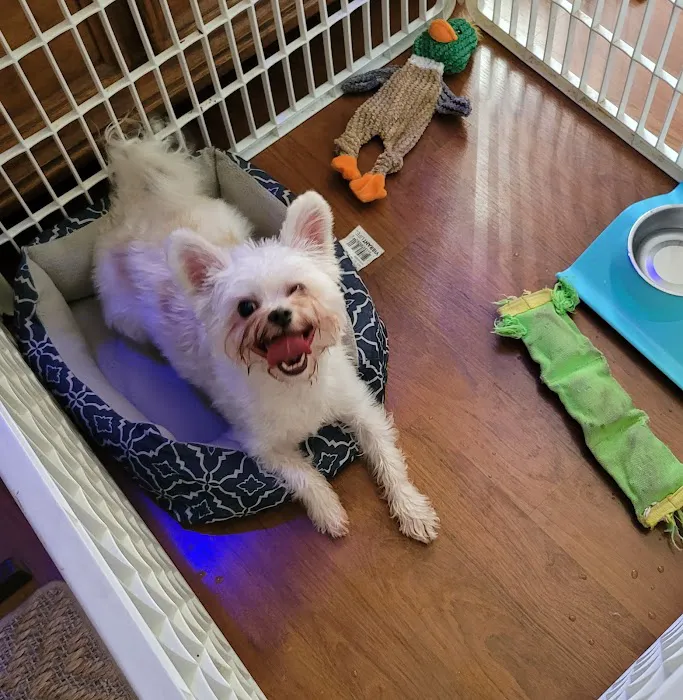 Kirbyville Veterinary Clinic Picture 2