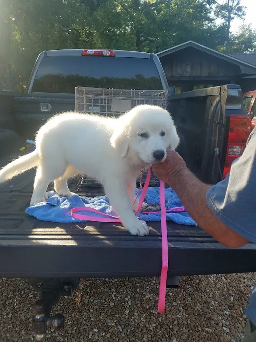 Kirbyville Veterinary Clinic Picture 6