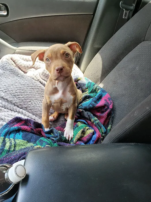 Kirbyville Veterinary Clinic Picture 5