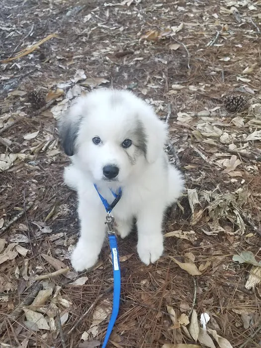 Kirbyville Veterinary Clinic Picture 4