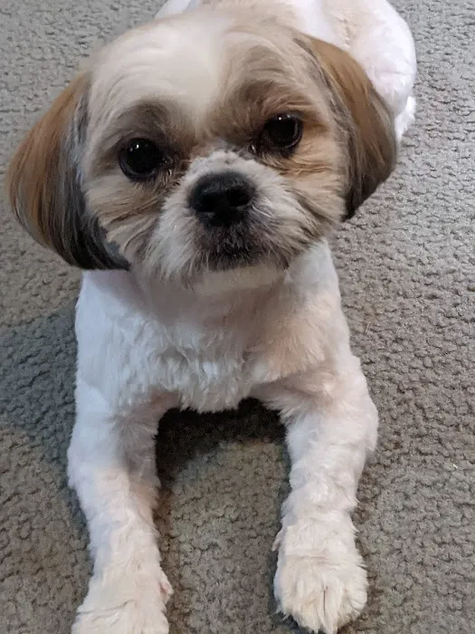 Kirbyville Veterinary Clinic Picture 7