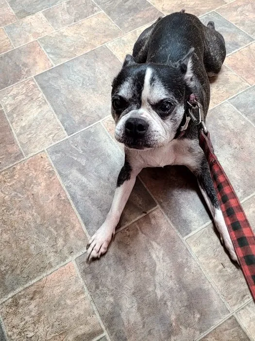 Kirbyville Veterinary Clinic Picture 9