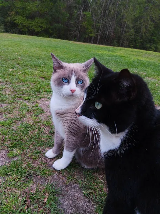 Kirbyville Veterinary Clinic Picture 8