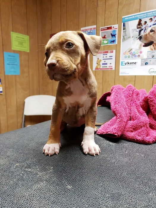 Kirbyville Veterinary Clinic Picture 10