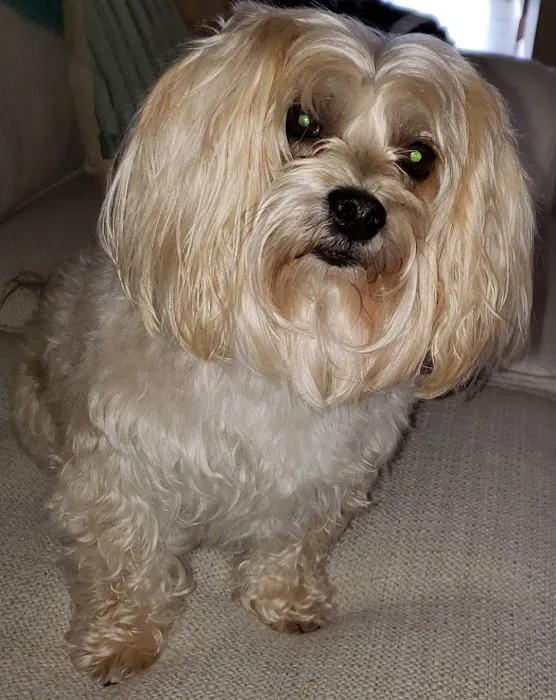 Lakeway Animal Clinic Picture 2