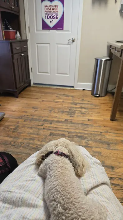 Lakeway Animal Clinic Picture 1