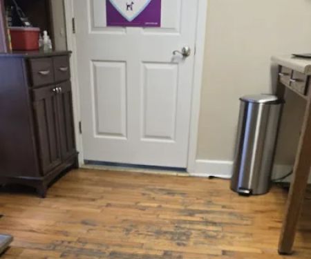 Lakeway Animal Clinic