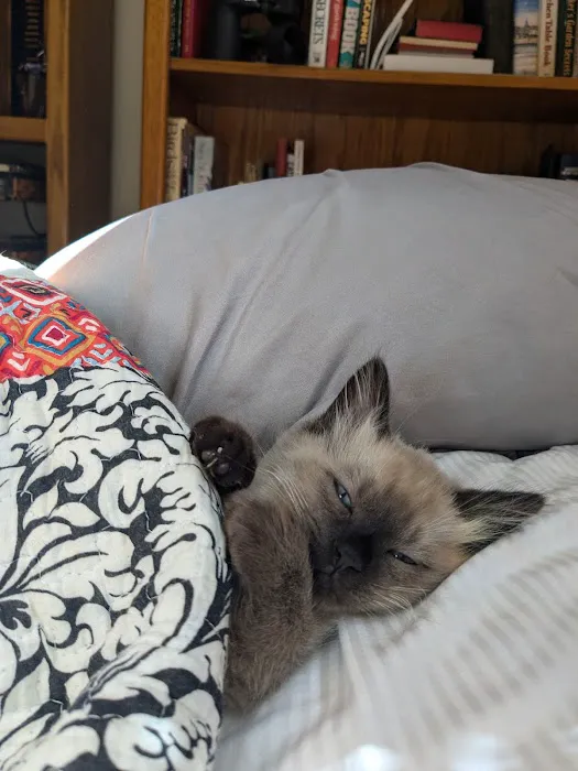 Lakeway Animal Clinic Picture 3