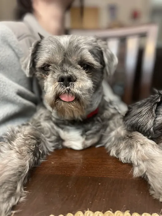 Lakeway Animal Clinic Picture 4