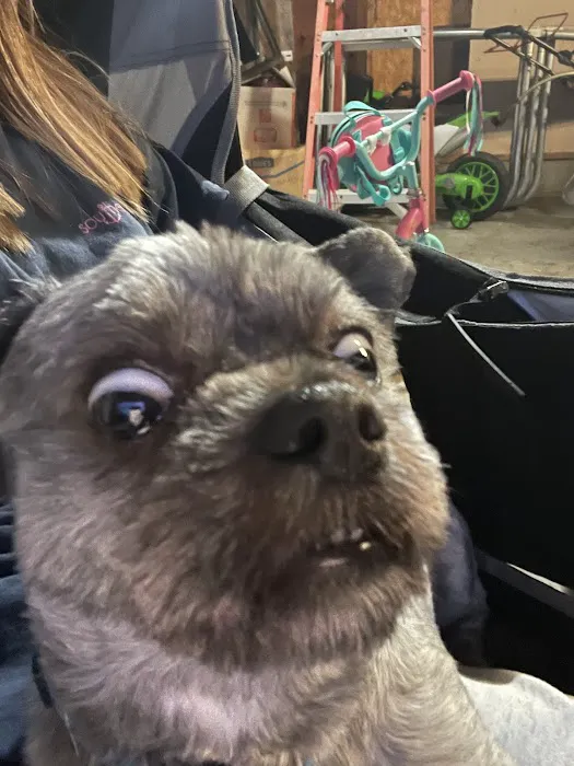 Lakeway Animal Clinic Picture 9