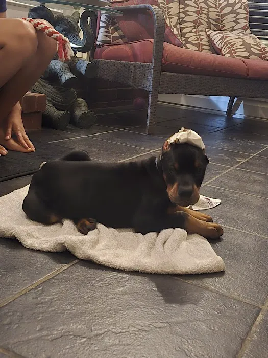 Paris Veterinary Clinic Picture 1